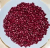 Dark Red Kidney Beans Long Shape Kidney Beans