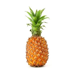 Delicious and Fresh Pineapple from a Premium Exporter South Africa