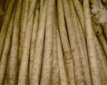 Direct Factory  sale of fresh vegetables and fresh burdock