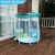 Import Docotr Dolphin Above Ground pools Plastic metal frame swimming pool family round bracket pool from China