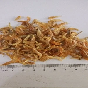 Dried Shrimp Reptile Food