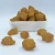 Import dried vegetable ginger candy ginger slice dryfresh ginger from China