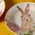 Import Easter Watercolor Rabbit Flat Spring Ceramic Base Plates from China