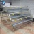 Import egg laying chicken coop/battery of breeding bird/pakistan poultry farm from USA