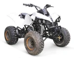 EPA 110CC /125CC racing atv cheap sale