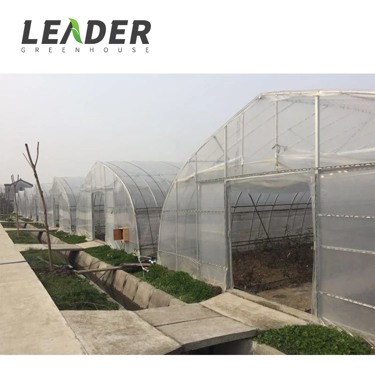 Excellent strength muti-span green house plastic multispan greenhouse