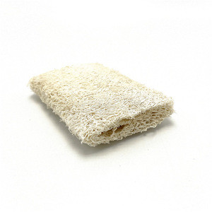 loofah exfoliating luffah