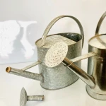 Factory Price cheap High quality 2L 3L 5L 9L Garden Galvanized metal round watering can