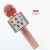 Import Factory stock WS858 wireless microphone karaoke bt microphone with speakers for kids from China