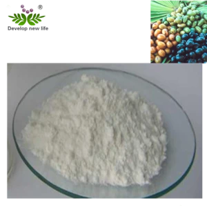 Factory Supply 100% Natural Palm Extract Saw Palmetto Extract/Serenoa Repens Extract Powder