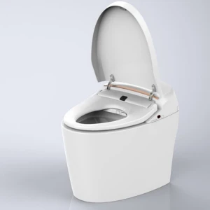 Factory supply bathroom wc hotel toilet bowl smart with bidet