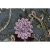 Import Factory wholesale latest korean style lace flower tulle fabric floral/mesh embroidery fabric handmade from China