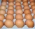 Import FARM FRESH TABLE CHICKEN EGGS FROM TURKEY HALAL GRADE A FOR SALE from Philippines