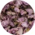 Import Flavor Tea Dried Sakura Flower from China