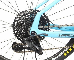 FM199 BOOST XT+REBA  11S hardtail mountain full bike 29er carbon fiber complete bicycle 15/17/19 inch