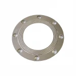 Forged  Carbon Steel Backing Flange DN32-DN900 SANS ANSI Standard