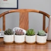 Free sample Antique Ceramic Succulents flower pots for Home Decor White Mini Flower Simple Design Ceramic Pot Planter