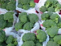 Fresh Broccoli For Sale