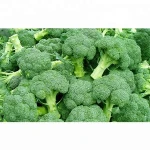 Fresh Broccoli ,Fresh Green Brocolli,Frozen fresh broccoli
