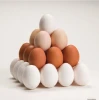 Fresh brown and white Shell Chicken Eggs