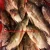 Import Fresh Frozen Tilapia Fish Best Quality from Bangladesh