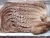 Import fresh frozen whole clean giant octopus from China