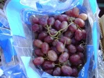 FRESH GRAPES _ FRESH TABLE GRAPES_ FRESH GLOBE GRAPES
