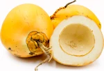 Fresh King Coconut from Sri Lanka