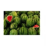 Fresh Melons in discounts