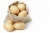 Import Fresh natural high quality organic china potatoes from China