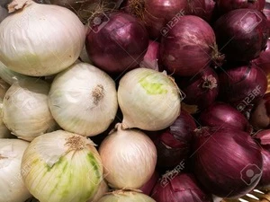Fresh Onion/Yellow Onion/red onion White Onions for sale