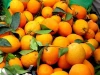 Fresh orange - Low Price - Finest quality - Egyptian origin