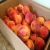 Import Fresh Peaches from China