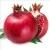 Import Fresh Pomegranate fruits from Spain