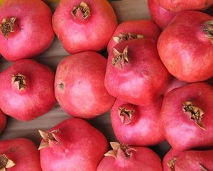 Fresh Pomegranate / Pomegranate Fruit