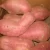 Import Fresh red sweet potato with cheap price now from China