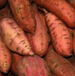 Fresh Sweet Potatoes /Red Yellow / Purple Skin Sweet Potatoes