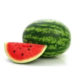 Fresh Water Melons wholesale