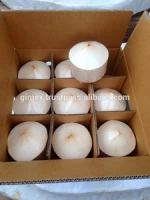 FRESH YOUNG COCONUT EXPORTER WORLDWIDE