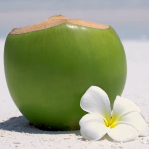 FRESH YOUNG COCONUT/FRESH MATURE COCONUT