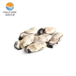 Frozen Pacific Oyster IQF frozen seafood