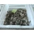 Import Frozen white vannamei shrimp delicious seafood shrimps frozen king prawns from China