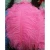 Import Fukang 55-60CM Pink Ostrich Feather Plume Pen For Carnival Cloth Decoration from China