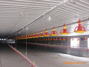 Full automatic broiler feeder equipment in poultry farm