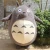Import Funtoys CE lovely totoro mascot costume for adult from China