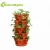 Import Garden nursery planter plastic flower pot from China