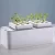 Import garden self watering system from China