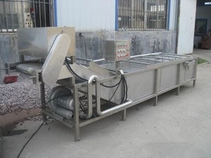 Garlic Washing Machine Washer Production Line