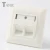 Import German type 80*80MM Zinc alloy 2 port faceplate, network faceplate,  Zinc alloy STP RJ45 for STP keystone jack faceplate from China