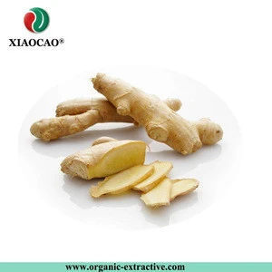 Ginger P.E/1%-20% Gingerols/Factory supply Organic ginger root extract